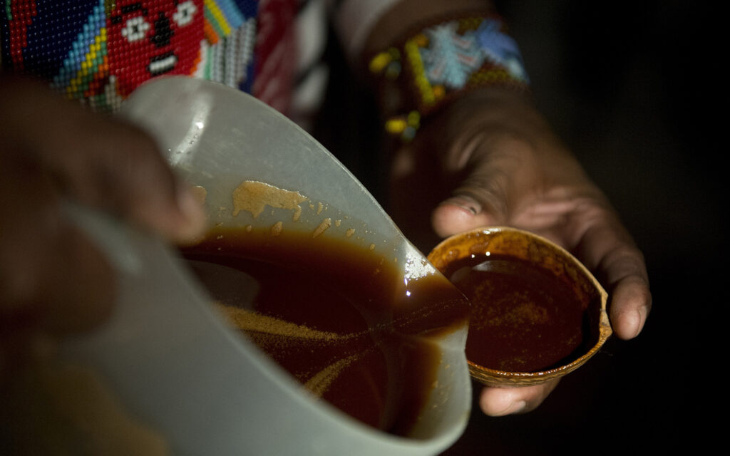 Why Visit An Ayahuasca Retreat?