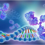 Uses & Applications Of Recombinant Human Protein