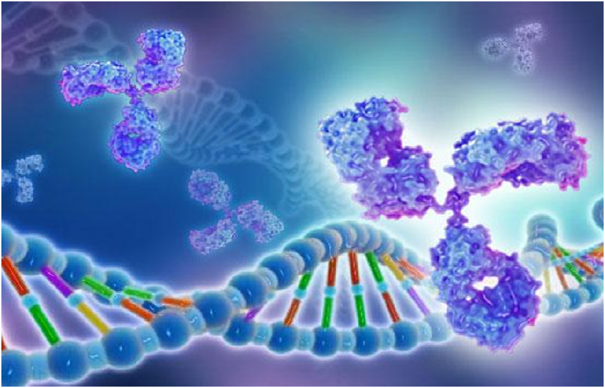 Uses & Applications Of Recombinant Human Protein